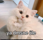1611595235243.png