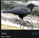 Ekran Alıntısı.JPG