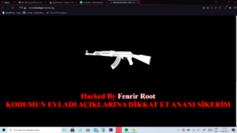 resim_2021-10-05_231453.png
