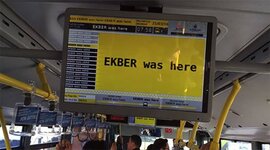 images (37).jpeg