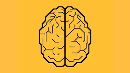 1655510179786.png 1655510179786.png