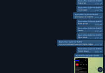 resim_2022-07-21_031551239.png