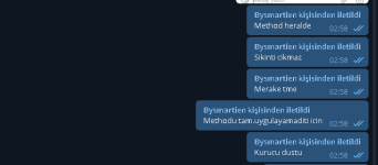 resim_2022-07-21_032009236.png