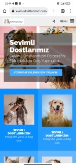 Screenshot_2022-08-18-22-44-00-269_com.android.chrome.jpg
