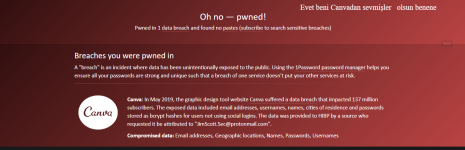 Have I Been Pwned_ Check if your email has been compromised in a data breach.png