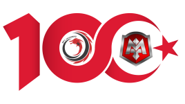 100.png