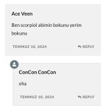 Screenshot_20240710_202849_Chrome.jpg