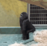 1727546877045.gif