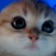 The_Fat
