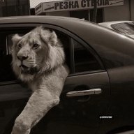 patronphpsystem