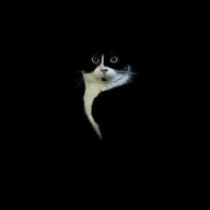 MrCatİCQ