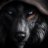 WolfZ