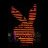 playboyclup